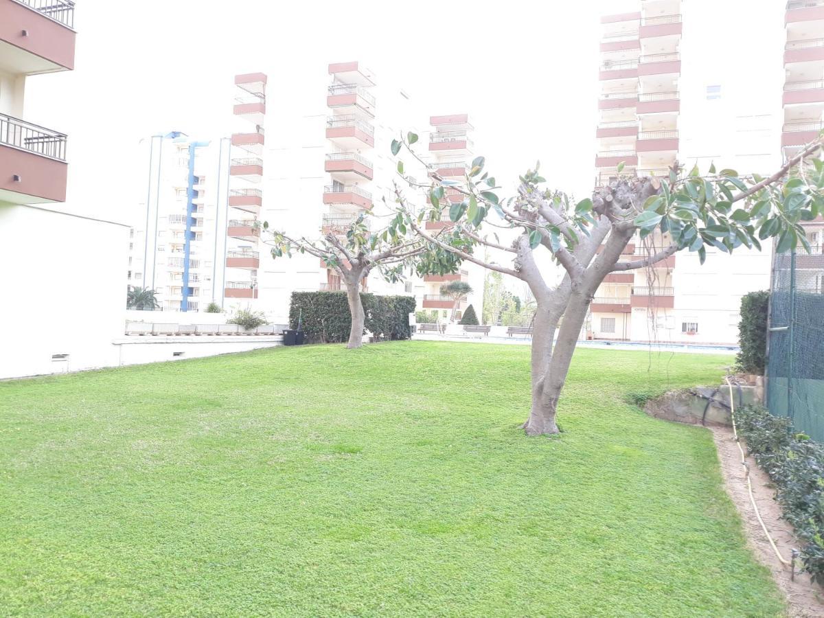 Valldigna 7 Playa De Gandia Solo Familias Ngoại thất bức ảnh
