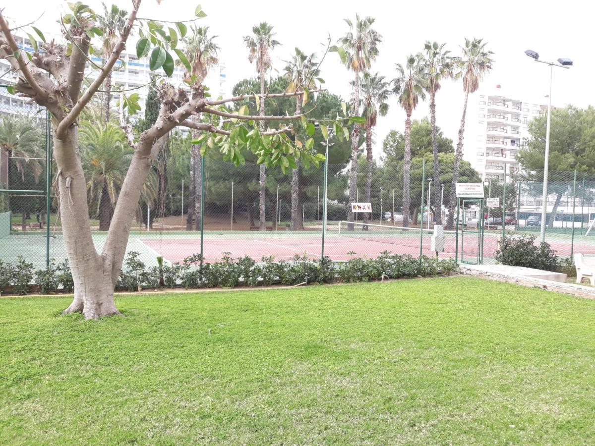 Valldigna 7 Playa De Gandia Solo Familias Ngoại thất bức ảnh