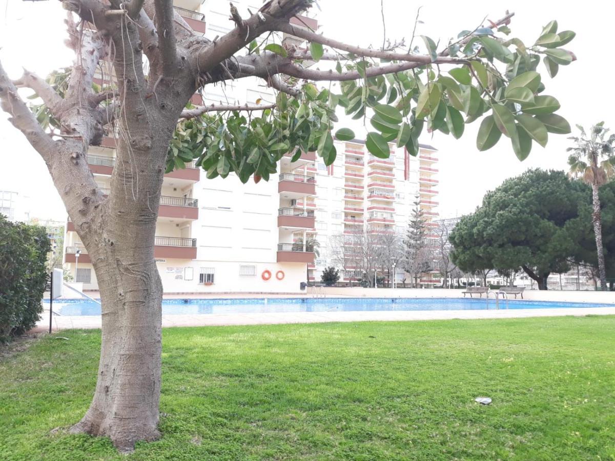 Valldigna 7 Playa De Gandia Solo Familias Ngoại thất bức ảnh
